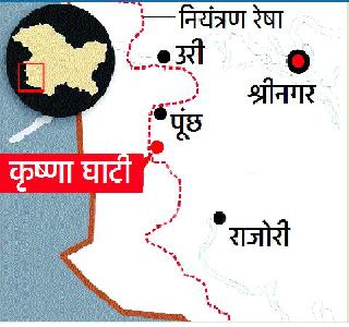 Rebellion of the bodies of the soldiers | जवानांच्या मृतदेहांची विटंबना