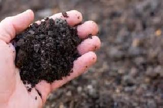 Soil Health magazine to 4 lakh farmers | चार लाख शेतकऱ्यांना मृदा आरोग्य पत्रिका Soil Health magazine to 4 lakh farmers | चार लाख शेतकऱ्यांना मृदा आरोग्य पत्रिका