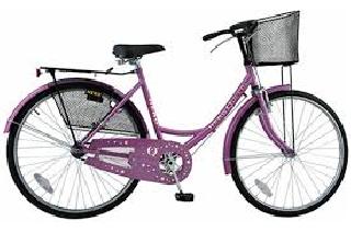 Ladies' cycle supply files missing! | लेडिज सायकल पुरवठ्याच्या फायली गायब!