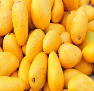 Be careful! You're eating mangoes ... | सावधान ! तुम्ही आंबे खात आहात...