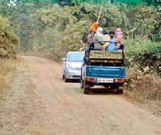 The forest safari of 44 thousand tourists across the year | वर्षभरात ४४ हजार पर्यटकांची जंगल सफारी