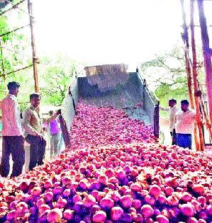 Plunder of the farmers in the Market Committee | बाजार समितीत शेतकऱ्यांची लूट Plunder of the farmers in the Market Committee | बाजार समितीत शेतकऱ्यांची लूट