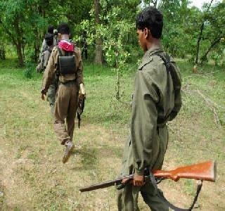 To prevent the Maoists from getting weapons and logistics | माओवाद्यांना मिळणारी शस्त्रे आणि रसद रोखणार