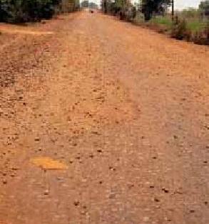 The Brahmapuri-Wadsa state road has begun from year to year | ब्रह्मपुरी-वडसा राज्यमार्गाचे वर्षभरापासून भिजत घोंगडे