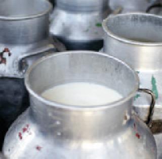 In the arid half of the milk in the skin | पांढरकवडात दुधाची आवक अर्ध्यावर