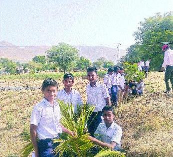 Forty plants survived with the power of passion and love | जिद्द व आवडीच्या जोरावर जगवली चाळीस झाडे