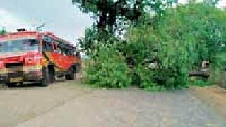 Windy rain in three talukas | तीन तालुक्यांत वादळी पाऊस