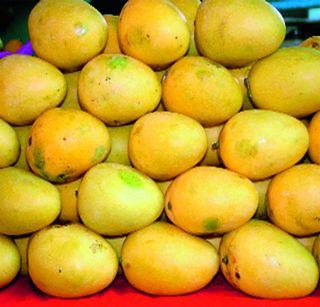 Carbide mangoes | कार्बाईडचे आंबे