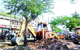 Road to the trees for the widening work! | रस्ता रुंदीकरणाच्या कामात वृक्षांना जीवदान !