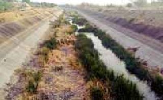 Same mud in the right bank of the Gosekhurd project | गोसेखुर्द प्रकल्पाच्या उजव्या कालव्यात साचला गाळ Same mud in the right bank of the Gosekhurd project | गोसेखुर्द प्रकल्पाच्या उजव्या कालव्यात साचला गाळ
