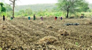 Preparation for Kharipachi: | तयारी खरिपाची : Preparation for Kharipachi: | तयारी खरिपाची :