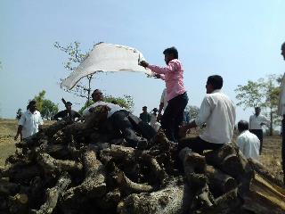 Self-realization of farmer! | शेतकर्‍याचा आत्मदहणाचा प्रयत्न!