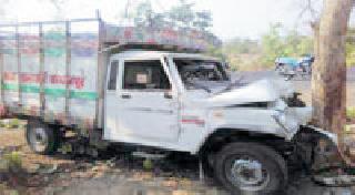 Vehicle hit the vehicle; Driver serious | वाहनाची झाडाला धडक; चालक गंभीर Vehicle hit the vehicle; Driver serious | वाहनाची झाडाला धडक; चालक गंभीर
