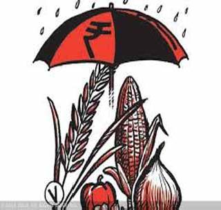 Introducing wrong lists of crop insurance | पीक विम्याच्या चुकीच्या याद्या सादर