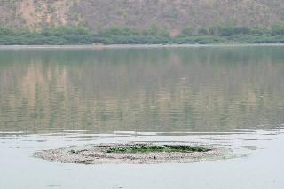 After 19 years, the historical "Mother of the well-known wells" of Lonar Sagar is present | तब्बल १९ वर्षानंतर लोणार सरोवरातील ऐतिहासिक "सासू सुनेच्या विहिरीचे" दर्शन