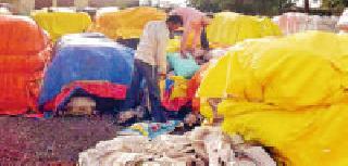 Thousands of quintals to be dehydrated due to sloppy operation | गचाळ कार्यप्रणालीमुळे हजारो क्विंटल तूर बेवारस