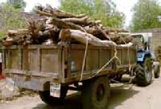 Unprotected wood filled the tractor | विनापरवाना लाकूड भरलेला ट्रॅक्टर जप्त