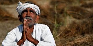 Sowing activities in the field of sowing before the sun dried up! | उन्हामुळे पेरणीपूर्व शेती मशागतीची कामे रखडली!