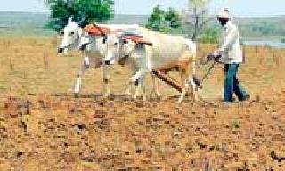 Land of Agriculture | शेतीची झाली माती