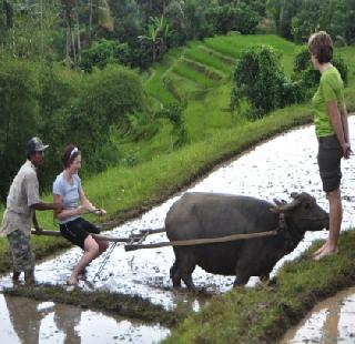 The state's agricultural tourism policy will soon - Jayakumar Rawal | राज्याचे कृषी पर्यटन धोरण लवकरच- जयकुमार रावल