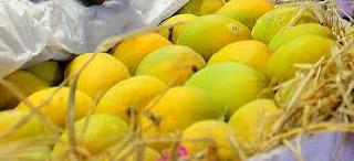 Madras mangoes sold under the name of Hapus | हापूसच्या नावाखाली मद्रासच्या आंब्यांची विक्री