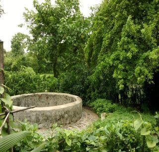 The girl's death by going to the well in the well to fill the water | पाणी भरताना विहिरीत पडून मुलीचा मृत्यू