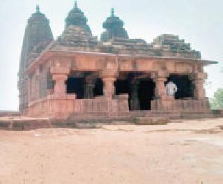 Neglected Hemadpanthi Temple: | दुर्लक्षित हेमाडपंथी मंदिर :