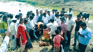 Cleanliness of Kateparona river under the "Namami Gange" campaign! | "नमामी गंगे" अभियानांतर्गत काटेपूर्णा नदीची स्वच्छता!