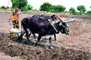 This year's farming slowdown | यंदा शेतीची मशागत संथच