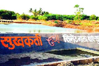 The installation of the two bonds of the 'Dolby' immersion | ‘डॉल्बी’च्या विसर्जनातून दोन बंधाऱ्यांची प्रतिष्ठापना