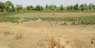 Reservoirs of rural areas are dry | ग्रामीण भागातील जलसाठे पडले कोरडे