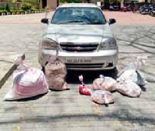 50 kg of ganja seized from the car | कारमधून ५० किलो गांजा जप्त