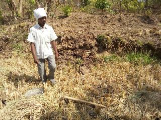 Nilgai was found with three ropes | नीलगायीसह तीन रानगव्यांचे सांगाडे सापडले