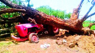 Serrate storms to ravage plants | सैराट वादळाने झाडे जमीनदोस्त