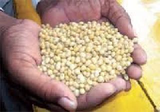 Mahabiya old seeds rejected the subsidy! | महाबीजच्या जुन्या बियाण्यास अनुदान नाकारले!