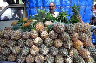 Pomegranate flourished in the market | कोल्हापूरातील बाजारात आले हो अननस