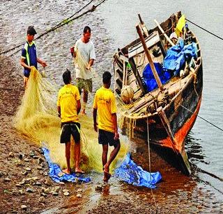 Fisheries in the sea, 31 deadlines for migratory traffic | समुद्रात मासेमारी, प्रवासी वाहतुकीला ३१ मे डेडलाइन