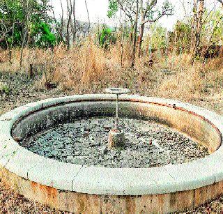 The park's condition on Bhatghar dam | भाटघर धरणावरील बागेची दुरवस्था