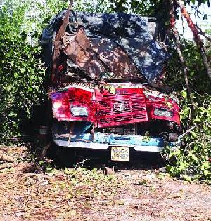 Kidney kills boulder on truck; Driver injured | ट्रकवर वडाचे झाड कोसळून क्लिनर ठार ; चालक जखमी