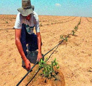 Agriculture needs water management | शेतीसाठी पाण्याचे नियोजन गरजेचे