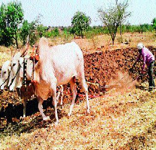 Preparation of Kharif is complete in Baramati taluka | बारामती तालुक्यात खरिपाची तयारी पूर्ण