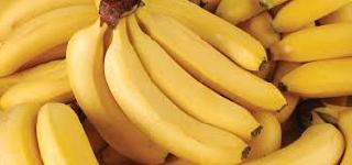 Banana export to the district! | जिल्ह्यातील केळी निर्यातीसाठी प्रयत्न! Banana export to the district! | जिल्ह्यातील केळी निर्यातीसाठी प्रयत्न!