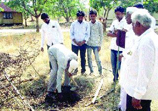 Resistance to plantation in Sagareshwar Wildlife Sanctuary | सागरेश्वर अभयारण्यात वृक्षारोपणास विरोध