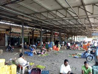 Shukushkat at Kolhapur Agricultural Produce Market Committee | कोल्हापूर शेती उत्पन्न बाजार समितीत शुकशुकाट