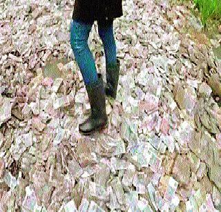 One billion notes found in the ash | खदानीत सापडल्या एक अब्जच्या नोटा