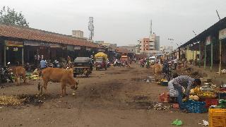 Police Department started the Nagar Bazar Samiti; 5 percent in arrivals | पोलीस संरक्षणात नगर बाजार समिती सुरु; आवक अवघी ५ टक्के