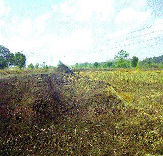 Reliance Relief for Paddy | भातशेतीला ‘रिलायन्सबाधा’