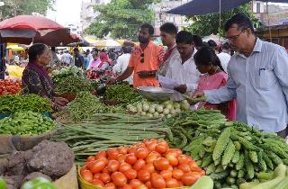 Pulses fall | डाळींच्या दरात घसरण