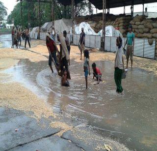 Storm in the district of Nandurbar: Damage due to rain | नंदुरबार जिल्ह्यात वादळीवा:यासह पावसामुळे नुकसान