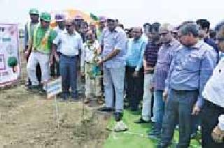 Nature-friendly 'Little Wood' | निसर्गाला अनुकूल ‘लिटिल वूड’ Nature-friendly 'Little Wood' | निसर्गाला अनुकूल ‘लिटिल वूड’